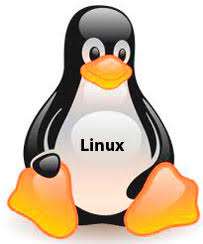 guide to linux